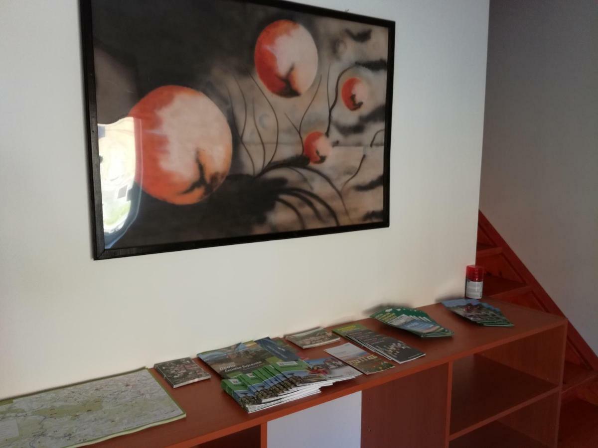 Apartman Prefa Benesov nad Ploucnici المظهر الخارجي الصورة
